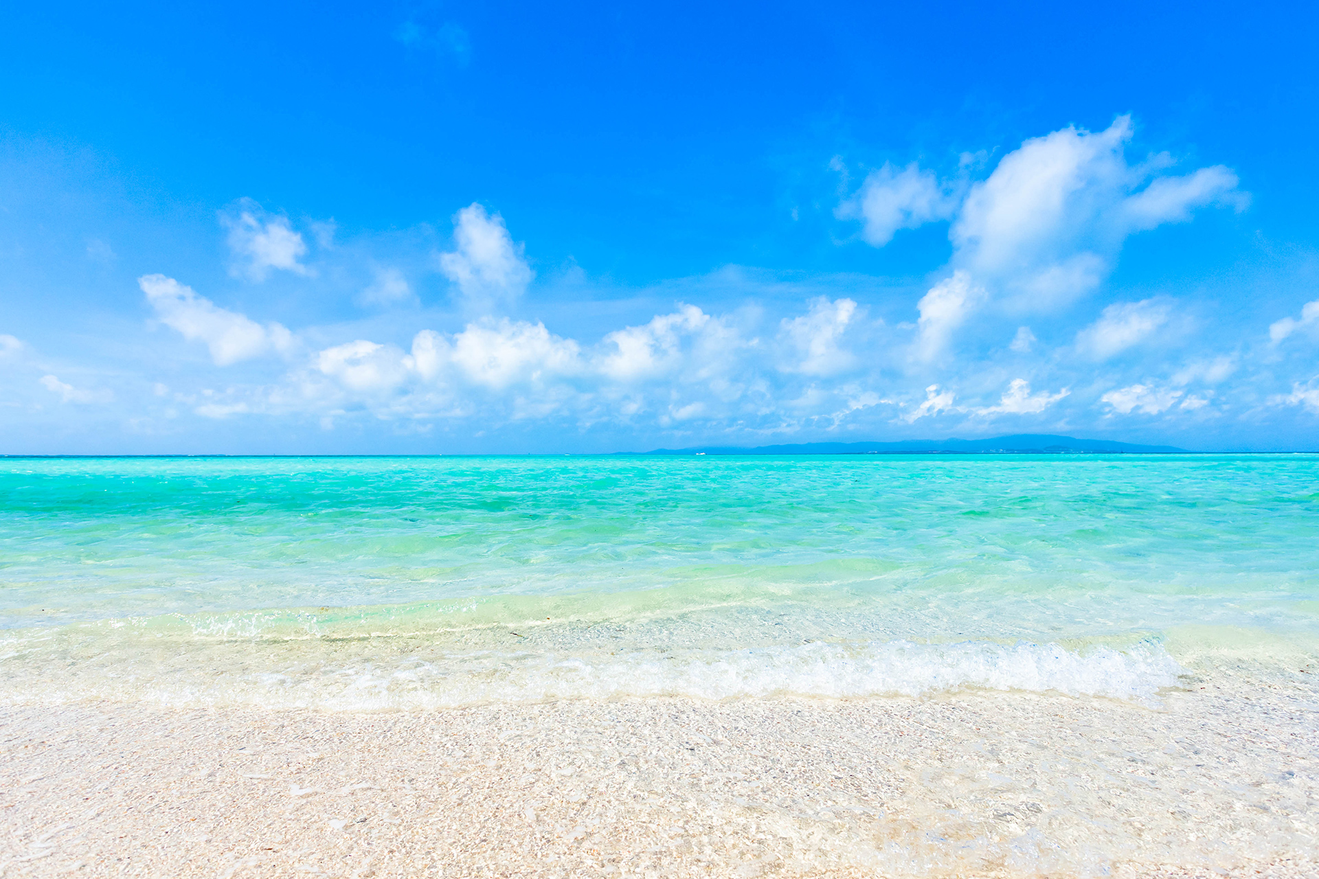 海青統合警備 メインビジュアル