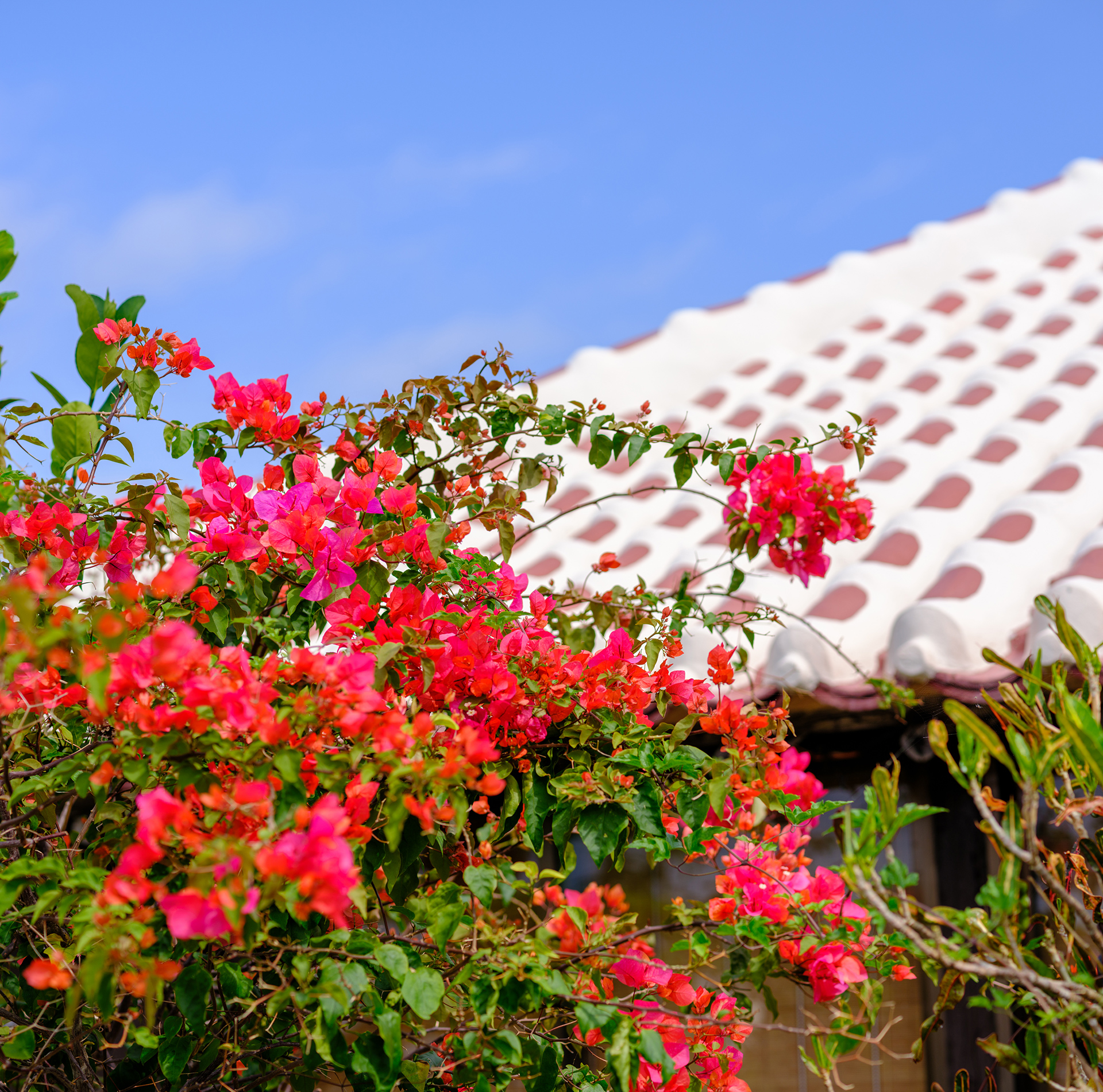 会社外観・所在地